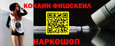 крисы Кунгур