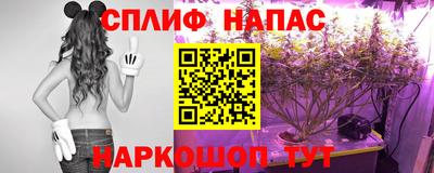 сатива Кулебаки