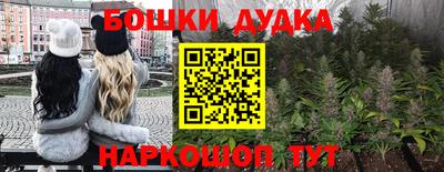 сатива Кулебаки