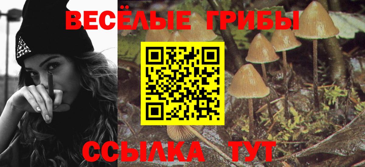 Псилоцибиновые грибы Magic Shrooms Киров