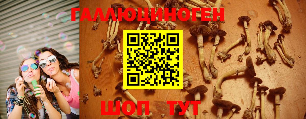 Галлюциногенные грибы GOLDEN TEACHER  Вход с VPN  Киров 