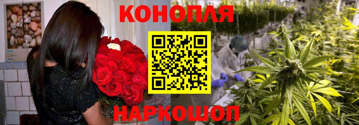 Киров  МАРИХУАНА конопля  Вход с VPN  Каннабис сатива 